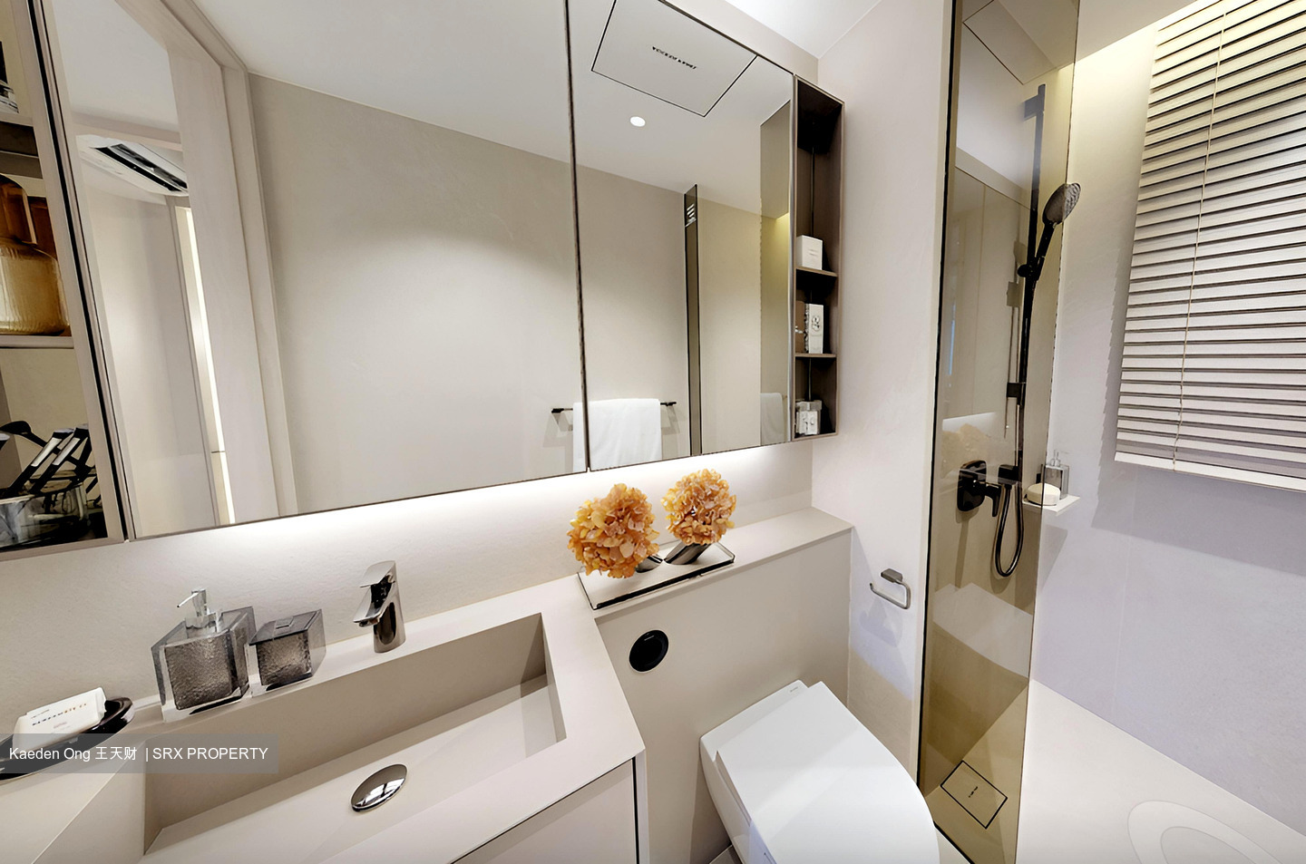 Union Square Residences (D1), Condominium #498534641